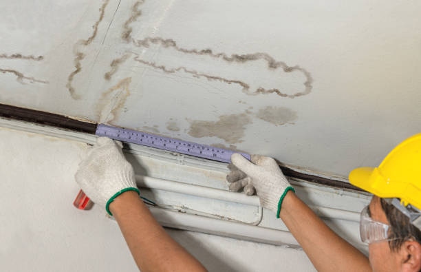 Reliable Mold Remediation contractor in Corona, CA by Water Damage Irwin